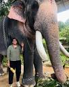 Ameena Sainu Kalarickal | The elephant whisperer🐘 #puthuppally ...