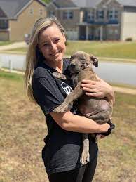 Browse through our breeder's listings and find your perfect puppy at the perfect price. Xl American Bullies Puppies For Sale Buff N Blue Bullies Alabama