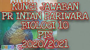 Uji 17 x 10 sma jawaban lks. Kunci Jawaban Biologi 10 Penilaian Tengah Semester Youtube