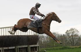 Goodison Park (Will Hickman)