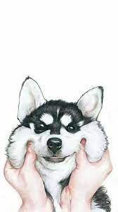 Pin Oleh Yasmin Zangalli Di Wallpaper Anjing Pug Anjing Husky Binatang