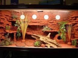 Here are a couple of quick tips to help with this: Bearded Dragon Cage Design