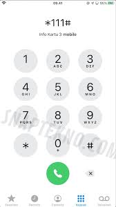 Masukkan kode *111#, lalu tekan ok/yes atau panggil. 4 Cara Simpel Cek Kuota Tri 3 Di Android Dan Iphone