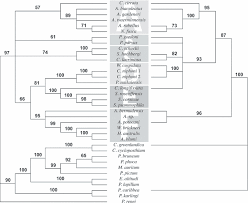 Uterus und tuben as want to read prüfe dein wissen anschließend mit. Systematic Revision Of Acoels With 9 0 Sperm Ultrastructure Convolutida And The Influence Of Sexual Conflict On Morphology Achatz 2010 Journal Of Zoological Systematics And Evolutionary Research Wiley Online Library