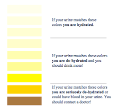 Urine Color Chart Martins Rugbycoach Blog