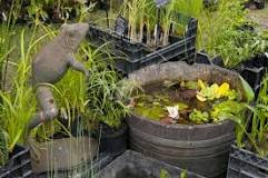 Quelles plantes aquatiques choisir pour mon bassin ? - Gamm vert