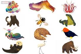 Google Earth Day Quiz Results Pangolin Honey Badger Cuttlefish Mantis Shrimp Komodo Dragon Woolly Mammoth Earth Day Quiz Animal Quiz Honey Badger