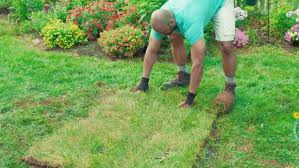 How To Lay Sod Over An Existing Lawn How To Lay Sod Lawn Care Tips Lawn