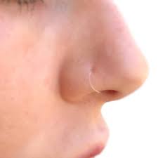 Pin By J H On Jewelry In 2020 Clear Nose Piercing Nose Piercing Jewelry Piercing Retainers