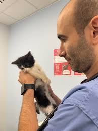 💕 Willow 💕 The wonderful willow...