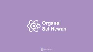 We did not find results for: Organel Sel Hewan Fungsi Struktur Gambar Lengkap