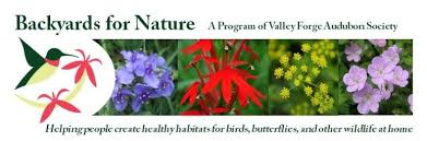 Maybe you would like to learn more about one of these? Native Plants Valley Forge Audubon Society