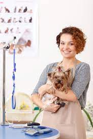 Training programs for pet care professionals six programs to choose from. The Best Accredited Grooming Schools