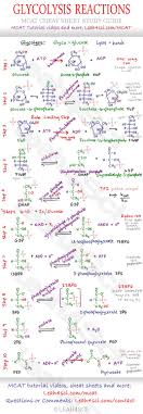 Biochemistry Basics Pogil Extension Questions Answer Key Glycolysis Steps Mcat Study Guide Cheat Sheet Mcat Premed Mcat Study Biochemistry Notes Science Chemistry
