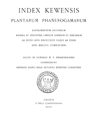 Image result for Allophylus fulvotomentosus