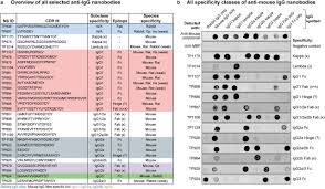 Similar procedures to the serum elisa were used to determine the antibody response in nasal discharges. A Toolbox Of Anti Mouse And Rabbit Igg Secondary Nanobodies Biorxiv