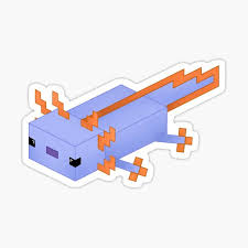 It is a photoshoped image. Blue Axolotl Gifts Merchandise Redbubble