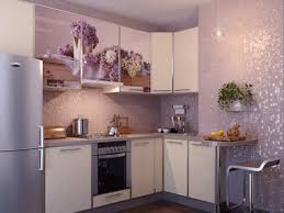purple kitchen cabinets, modern kitchen