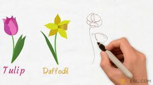 How to draw flowers step by step with pictures. List Of Flowers Names Of Flowers With Images Youtube