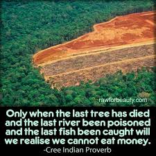 Only When The Last Tree Has Died And The Last River Been Poisoned And The Last Fish Been Caught Will We Realise We Indian Proverbs Cree Indians Raw For Beauty