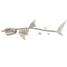 Skeleton Great White Shark 3d Model Ad Great Skeleton White Model Great White Shark Shark 3d Model