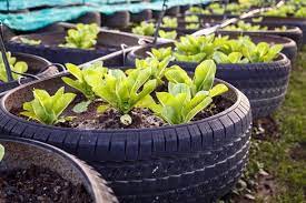 10 tips for finding inexpensive garden tools craigslist is another valuable resource for garden tools and supplies, and you can sometimes find. 22 Cheap Diy Garden Tips For Gardening On A Budget Cheapism Com