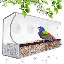 Bird Feeders For Small Birds Amazon Amazon Com Deluxe Clear Window Bird Feeder Large Wild Birdfeeder With Drain Holes Removab Window Bird Feeder Homemade Bird Feeders Clear Window Bird Feeder