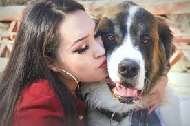 Abused dog found in same location as earlier doodle