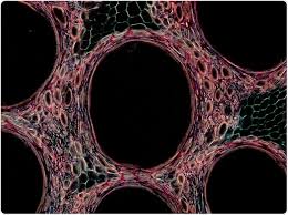 نتیجه جستجوی لغت [fret] در گوگل