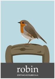 Black And White Bird With Red Breast Uk Birds Of Great Britain Little Robin Red Breast Robin Drawing Birds Bird Poster