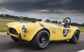 Image result for Canary Yellow 1965 AC Cars