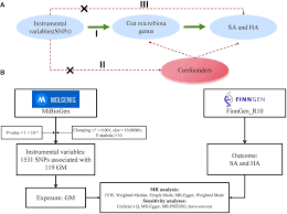 Assessing causal relationships between gut microbiota and abortion:  evidence from two sample Mendelian randomization analysis