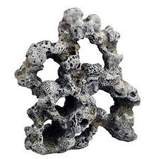 ( 3.6 ) out of 5 stars 8 ratings , based on 8 reviews current price $7.99 $ 7. Top Fin Coral Wall Aquarium Ornament Fish Ornaments Petsmart