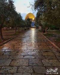 القدس الجريحة 2018 المسجد الاقصي رمزيات 3dlat Net 10 17 6b31 Sidewalk Road Alley