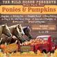 PONIES & PUMPKINS!!! event image