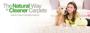 Two decades of dependable quality workmanship and professionalism. Chem Dry Oasis Carpet Cleaner Beaumont California Facebook 35 Photos