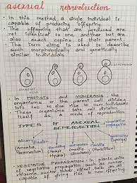 Reproduction Biology Notes Science Notes Study Biology