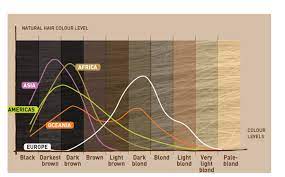 Brunette, blonde, or red what your hair color may say about is the breakdown by percentage of genetically blond, brunette brown and blue eyes a rare. What Is The Breakdown By Percentage Of Genetically Blond Brunette And Red Haired People Worldwide Quora