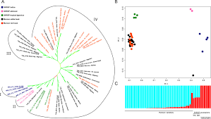 frontiers hidden rice diversity in the guianas plant science