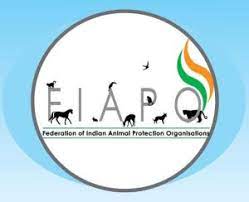 List Of Animal Welfare Organizations In India