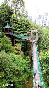 Os tipos de quartos podem variar. Hutan Simpan Bukit Nanas Kuala Lumpur å‰éš†å¡å'–å•¡å±± Steemit