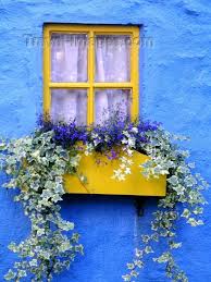 Ériu was a queen goddess of ancient ireland. Love To Look At This Window Box Flowers Flower Boxes Garden Boxes