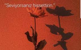 sevdiginizi acikca soyler misiniz yoksa karsinizdakinin anlatmasini mi beklersiniz kisilik ikiz