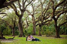 Tree Tops Park Davie Fl Location Photography Florida Location Florida Hotels