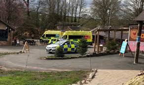 Let us know in the comments below #wmsp pic.twitter.com/sahrfsecii. West Midland Safari Park Emergency Baby Dies After Cardiac Arrest Uk News Express Co Uk