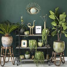 inspiratie everydeco home decor house plants decor cheap home decor