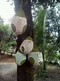 Nangka Tok Lucu Gambar Terlucu Gambar