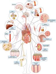 Maybe you would like to learn more about one of these? Complications Of Proton Pump Inhibitor Therapy Gastroenterology