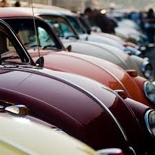 Pin En Beetle Mania