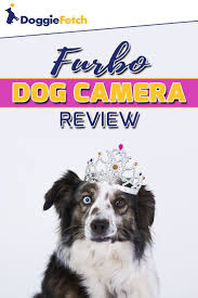 Furbo Dog Camera Review Doggiefetch Dogs Camera Reviews Pets